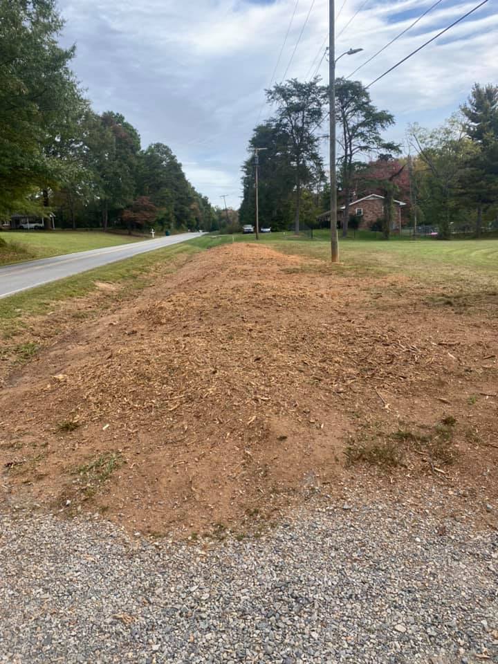 H&S stump row removal after