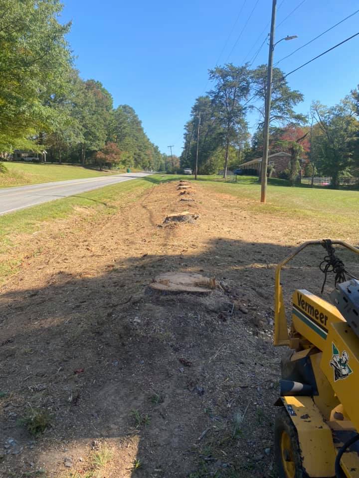H&S stump row removal before